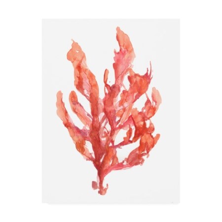 Trademark Fine Art Jennifer Goldberger 'Coral Kelp I' Canvas Art, 18x24 WAG16548-C1824GG